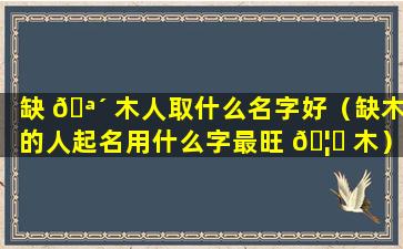 缺 🪴 木人取什么名字好（缺木的人起名用什么字最旺 🦋 木）